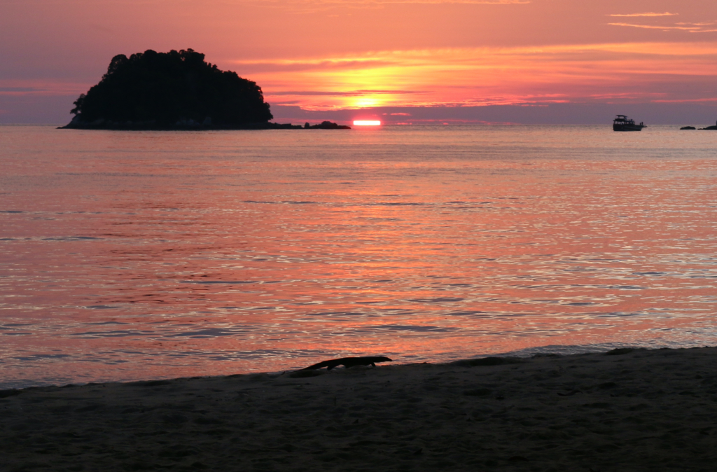 水平線に沈む夕陽と陸オオトカゲ