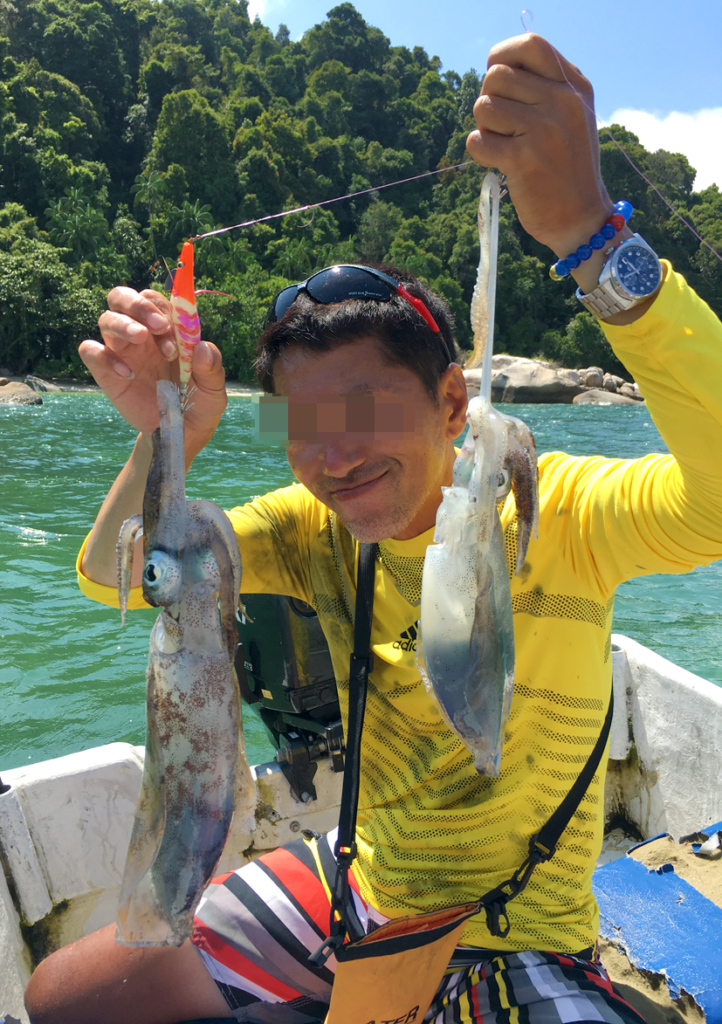 良型のアオリイカも釣れます