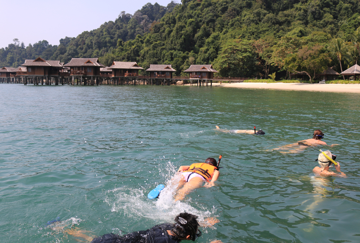 希望すれば島の周囲でのシュノーケリングも可能