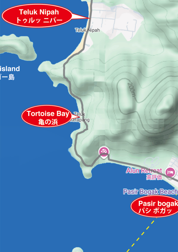 タートルベイ地図