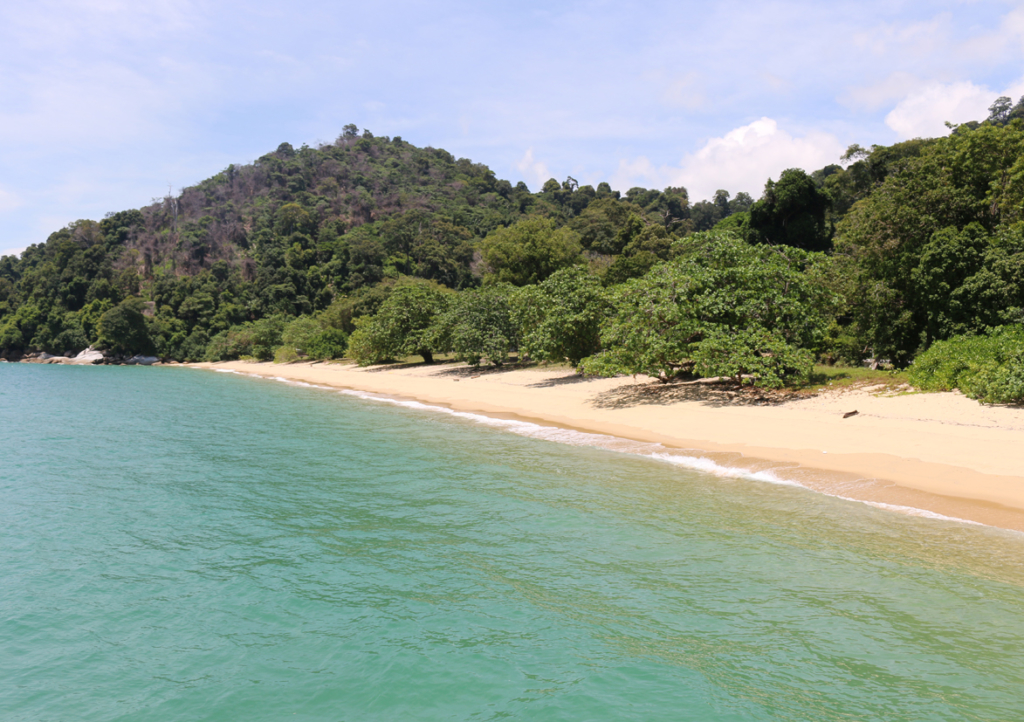 夜間には全く灯りがないので夜の波打ち際でキラキラ光る夜光虫を見る事も出来たのですが、今は侵入禁止です