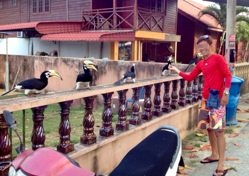 パン屑やお菓子などで餌付け出来ます
