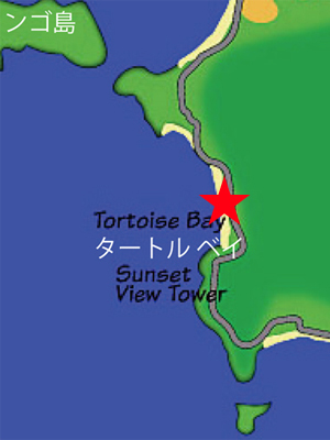 タートルベイ地図